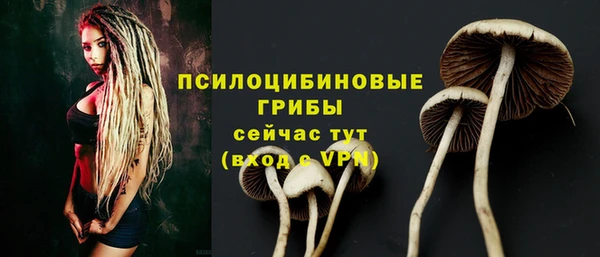 прущий лед Зеленокумск