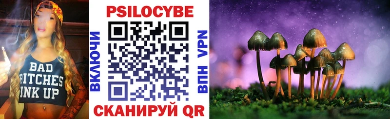 Купить где  Озёрск  Галлюциногенные грибы Cubensis 